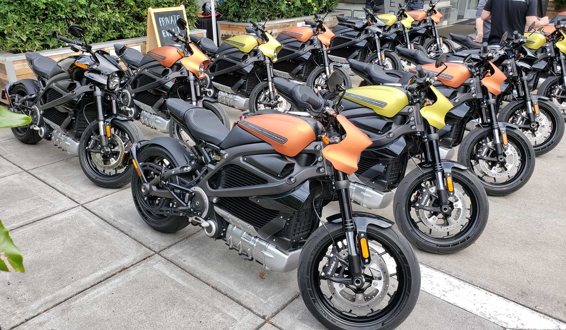 HARLEY DAVIDSON LIVEWIRE